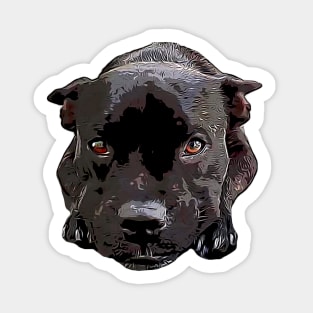 Staffy Looking Cute! Sticker